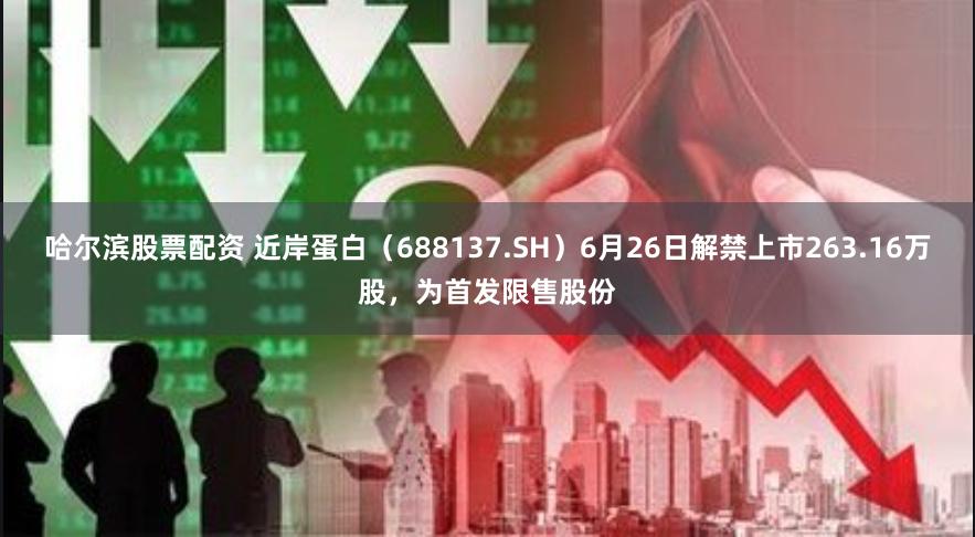 哈尔滨股票配资 近岸蛋白（688137.SH）6月26日解禁上市263.16万股，为首发限售股份