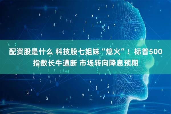 配资股是什么 科技股七姐妹“熄火”！标普500指数长牛遭断 市场转向降息预期